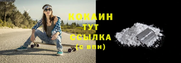 стаф Пестово