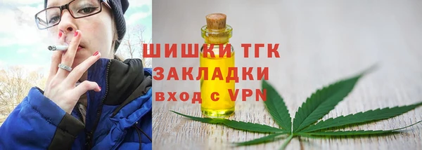 стаф Пестово