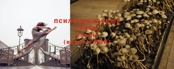 стаф Пестово