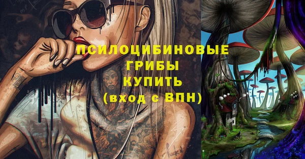 меф Пересвет