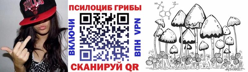 где можно купить   Райчихинск  Галлюциногенные грибы MAGIC MUSHROOMS 