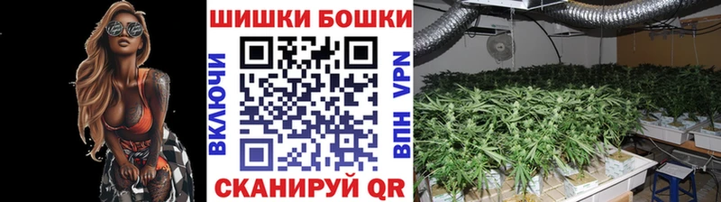 Бошки марихуана ГИДРОПОН Райчихинск